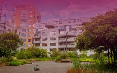 “Zelf zou ik niet weten waar te beginnen”